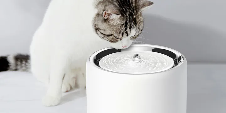 Cat drinking from the PETKIT EverSweet 3 Pro UVC water fountain, official product-page photo from petkit.com showing the stainless steel bowl and water surface the fountain presents to the cat