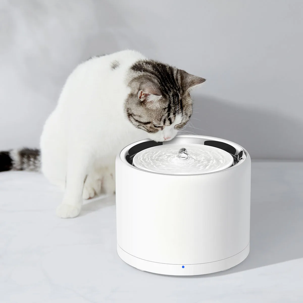 Cat drinking from the PETKIT EverSweet 3 Pro UVC water fountain, official product-page photo from petkit.com showing the stainless steel bowl and water surface the fountain presents to the cat
