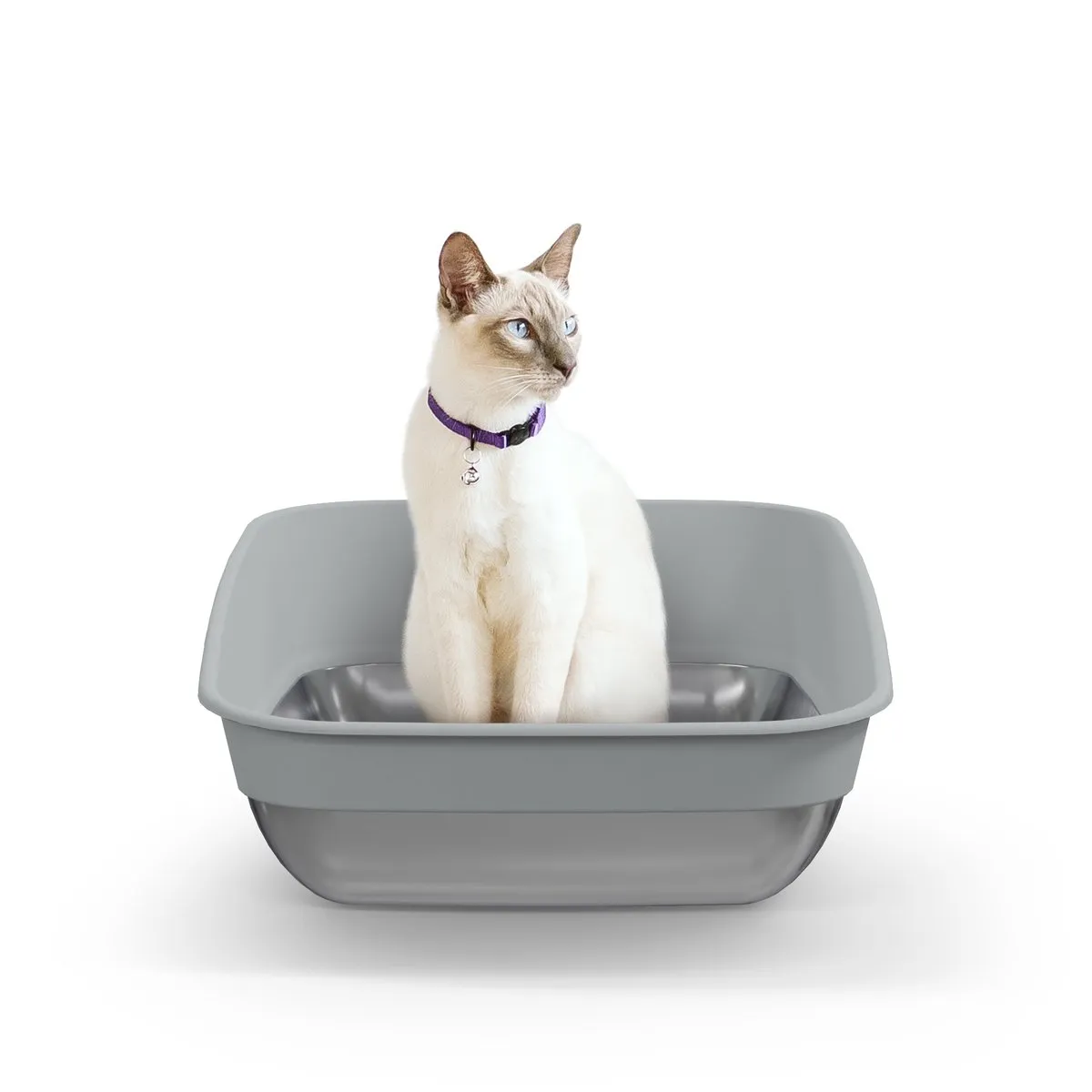 Litter Genie Platinum open-top litter box with a stainless steel base and raised back wall, official Litter Genie product photo of the manual setup owners recommend for a $200 budget instead of a cheap automatic box