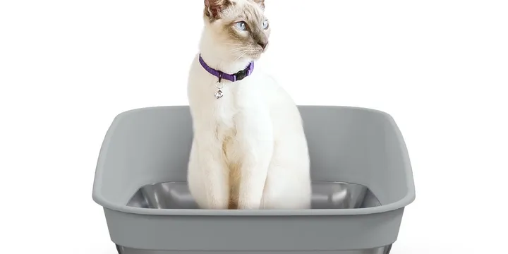 Litter Genie Platinum open-top litter box with a stainless steel base and raised back wall, official Litter Genie product photo of the manual setup owners recommend for a $200 budget instead of a cheap automatic box