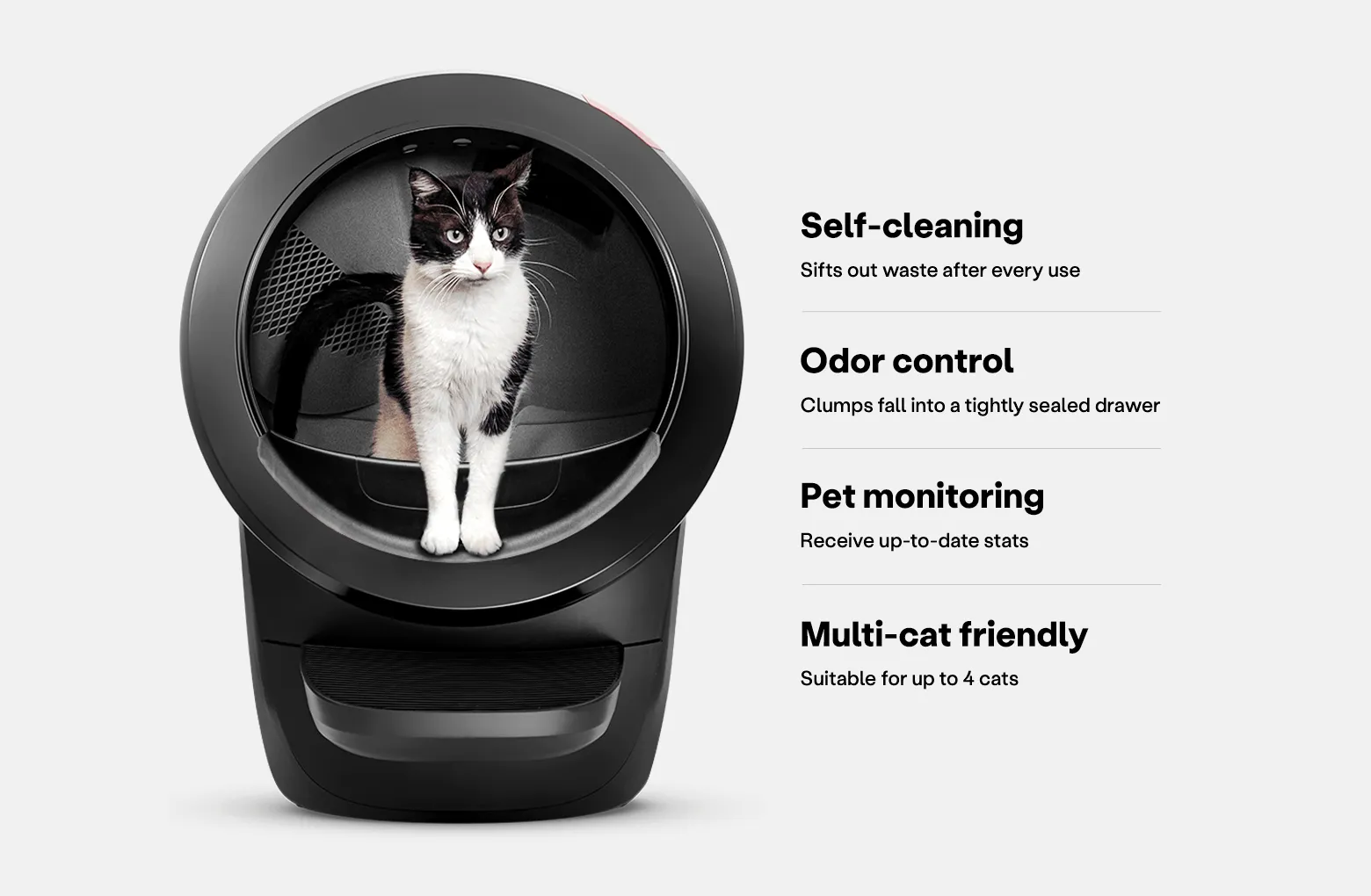 Genuine Litter-Robot 4 self-cleaning cat litter box in black, the exact brand counterfeit units imitate on marketplaces, official product photo from Whisker