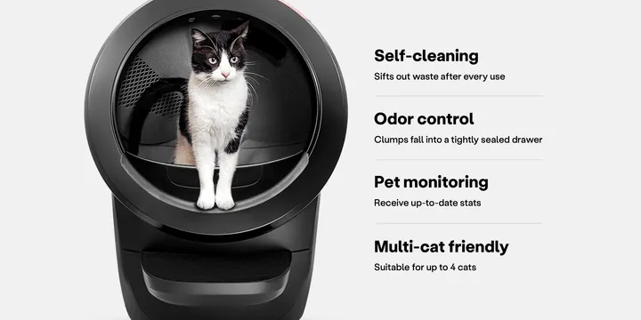 Genuine Litter-Robot 4 self-cleaning cat litter box in black, the exact brand counterfeit units imitate on marketplaces, official product photo from Whisker