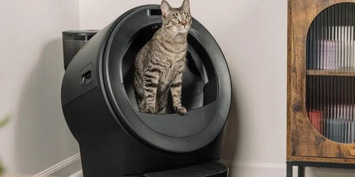 Whisker Litter-Robot 5 with automatic litter hopper, official product image from whisker.com accessed September 2026