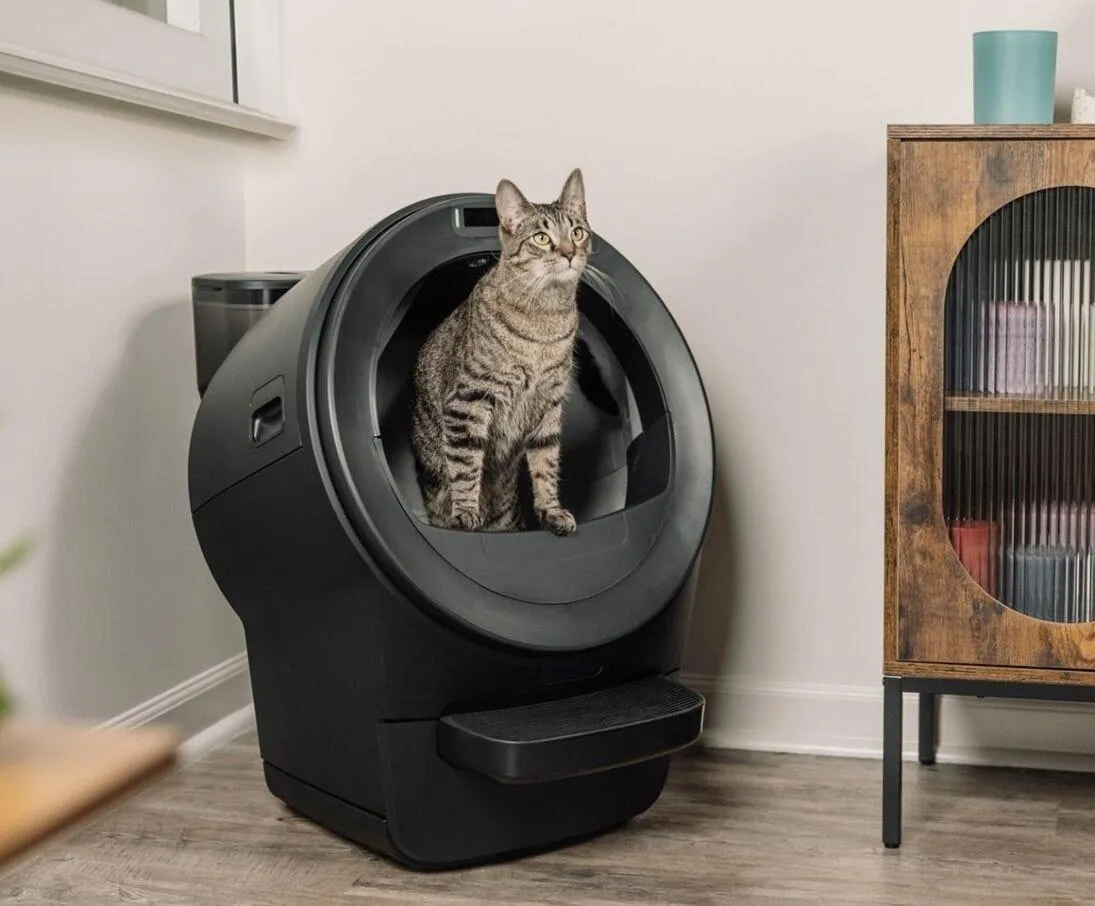 Whisker Litter-Robot 5 with automatic litter hopper, official product image from whisker.com accessed September 2026