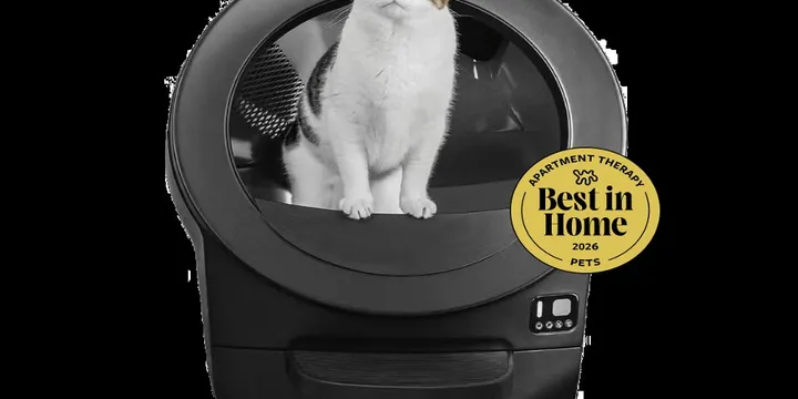 Litter-Robot Evo self-cleaning cat litter box in black, Whisker newest model with documented owner complaints about the waste drawer fit, the display, and support response