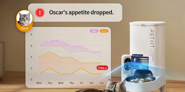 Cat eating from a PETKIT YumShare Solo 2 smart feeder with AI pet facial recognition camera
