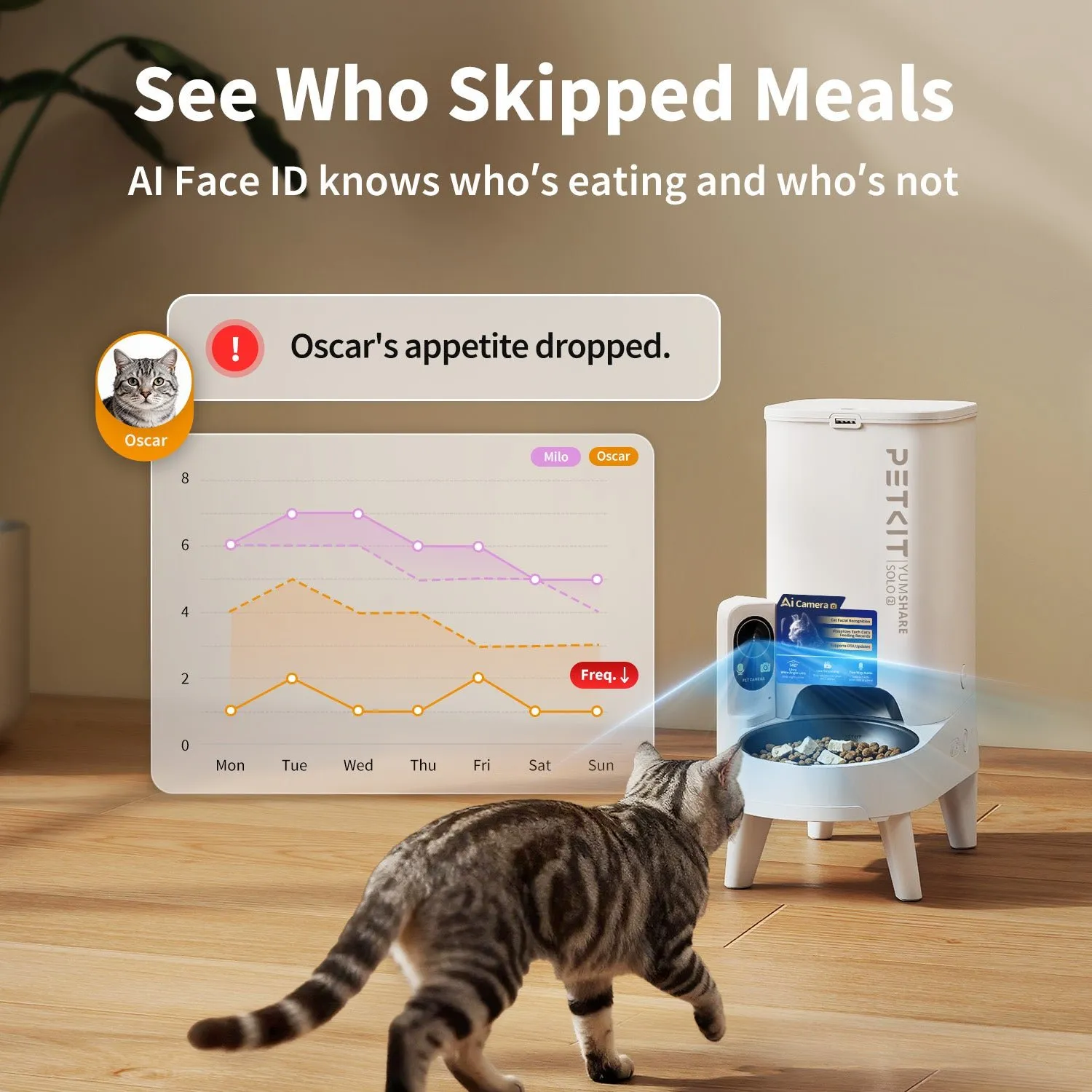 Cat eating from a PETKIT YumShare Solo 2 smart feeder with AI pet facial recognition camera