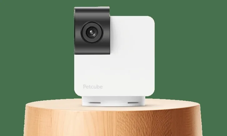 Petcube Cam 360 pet camera with 360-degree pan-tilt view mounted on a post