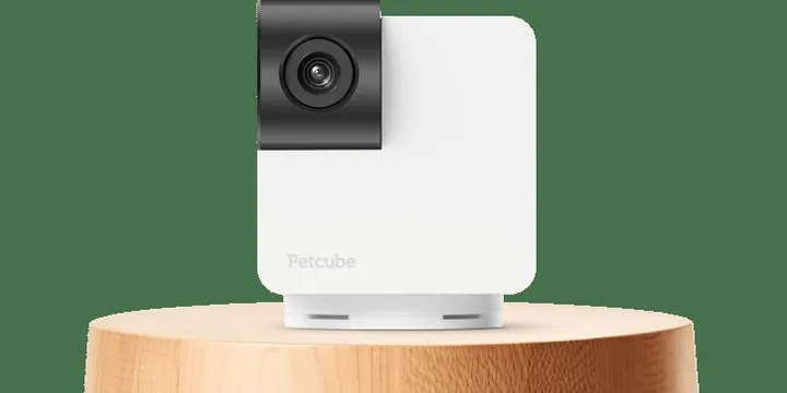 Petcube Cam 360 pet camera with 360-degree pan-tilt view mounted on a post