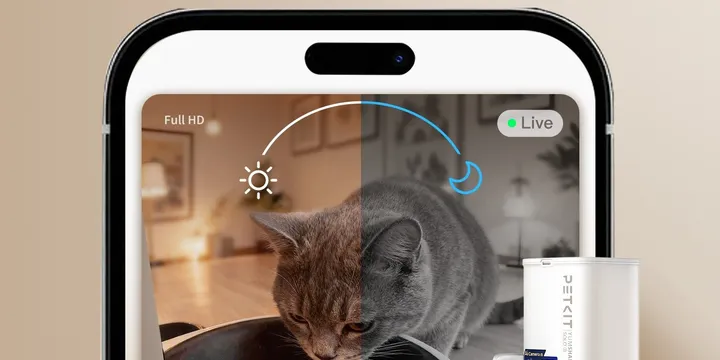 PETKIT YumShare Solo 2 pet feeder camera showing live day-and-night monitoring of a cat at the bowl