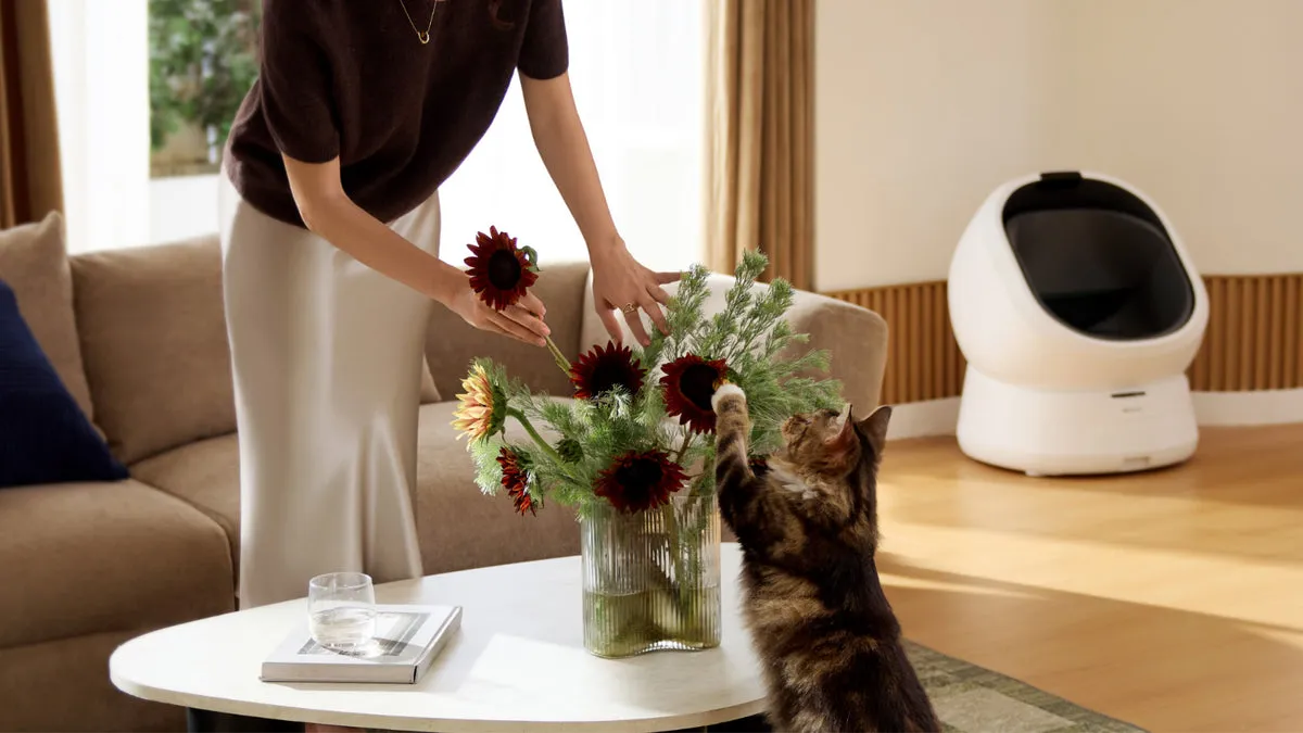 Petlibro Luma smart litter box in white, the $599.99 machine whose 90-day return window and $60 cleaning fee sit inside the same refund policy as the 24-month warranty