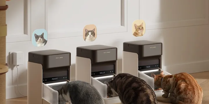 PETLIBRO One RFID smart pet feeder in white with a portion-control bowl, the model line behind documented API security flaws and a microchip misread incident, official product photo from petlibro.com
