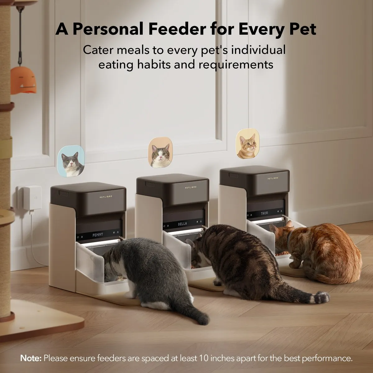 PETLIBRO One RFID smart pet feeder in white with a portion-control bowl, the model line behind documented API security flaws and a microchip misread incident, official product photo from petlibro.com