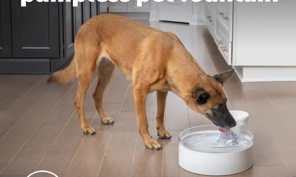 PetSafe Outlast pumpless pet fountain with HydroSpin cone mechanism, the $60.99 model with documented motor corrosion complaints