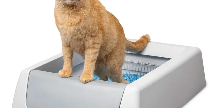 PetSafe ScoopFree Crystal Classic self-cleaning litter box with crystal litter and disposable tray, official product photo from petsafe.com accessed September 2026