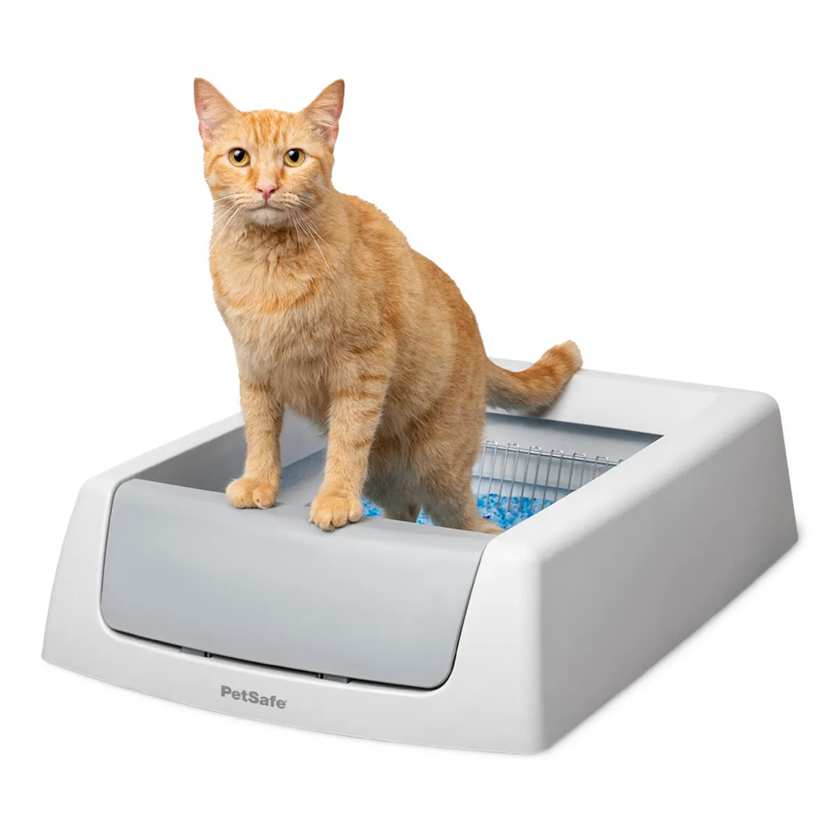 PetSafe ScoopFree Crystal Classic self-cleaning litter box with crystal litter and disposable tray, official product photo from petsafe.com accessed September 2026