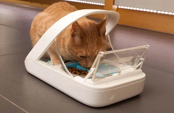 Ginger cat eating from a SureFeed microchip pet feeder, official lifestyle photo from the Sure Petcare product page, a feeder that opens by implanted microchip with no app, account, or cloud dependency