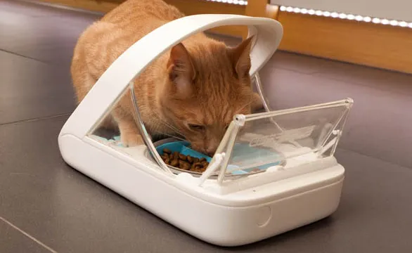 Ginger cat eating from a SureFeed microchip pet feeder, official lifestyle photo from the Sure Petcare product page, a feeder that opens by implanted microchip with no app, account, or cloud dependency
