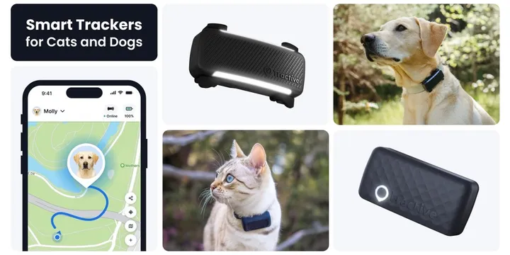 Tractive GPS pet tracker clipped to a dog collar, showing live location tracking