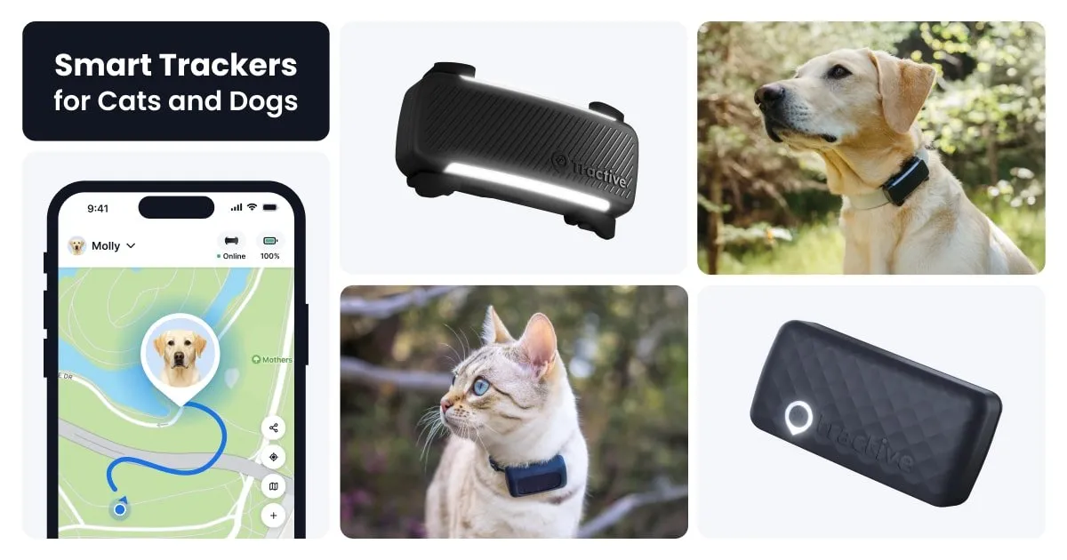 Tractive GPS pet tracker clipped to a dog collar, showing live location tracking