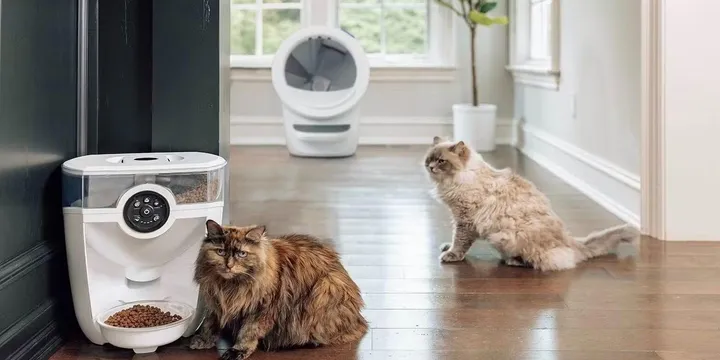 Official Whisker product photograph of the Feeder-Robot automatic pet feeder with a Litter-Robot 4 behind it, the feeder line whose maker ships a supported Home Assistant integration